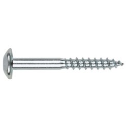 TORNILLO  INVIOLABLE  ZN  C/100