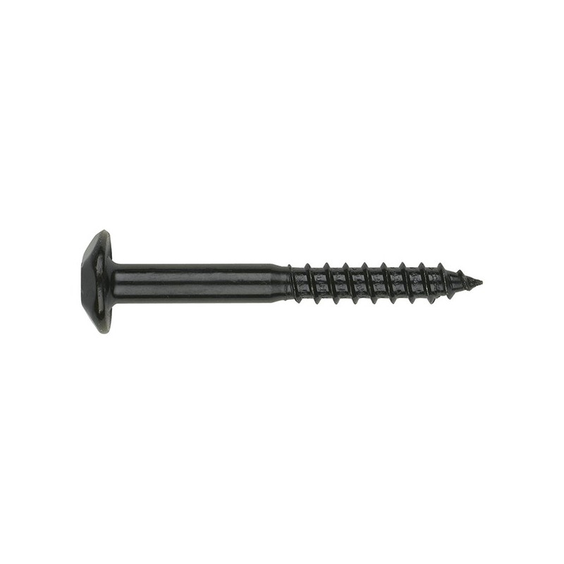 TORNILLO  INVIOLABLE  ZN  NEGRO  100