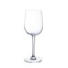 6  COPAS  DE  VINO