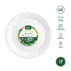 PLATO  DESECHAB  PIZZA  CARTON  BCO  B/4