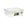 Caja  para  Zapatos  ARMARIO