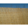 CAÑIZO TIPO BAMBU