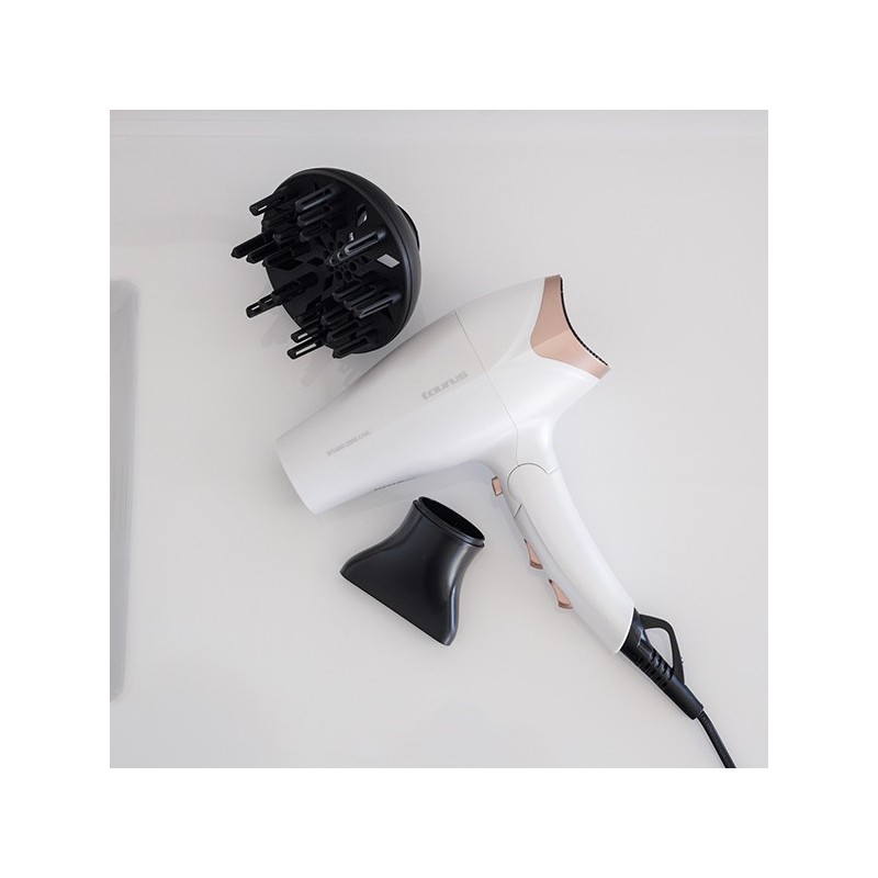 SECADOR  STUDIO  2500  IONIC  PLEGABLE  TAURUS