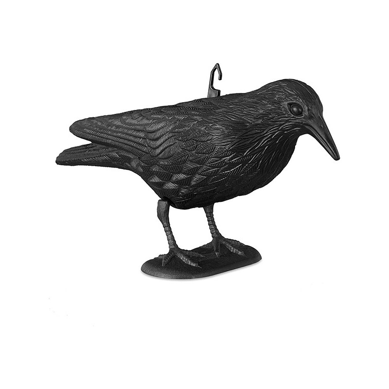 CUERVO  ESPANTAPÁJAROS