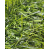 SETO ARTIFICIAL BICOLOR H.FINA