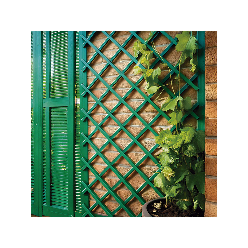 CELOSIA EXTENS PVC VERDE
