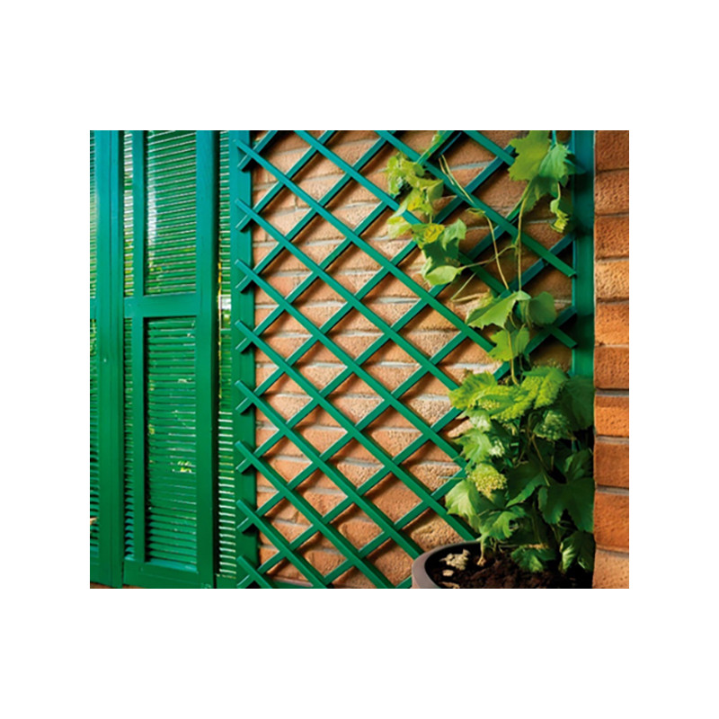 CELOSIA EXTENSIBLE PLASTICO VERDE