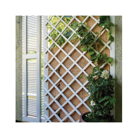 CELOSIA EXTENSIBLE PLASTICO BLANCO