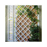CELOSIA EXTENSIBLE PLASTICO BLANCO