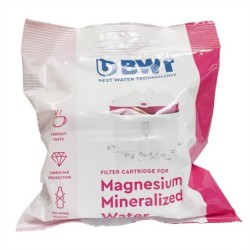 CARTUCHO  FILTRO  BOLSA  1  UD