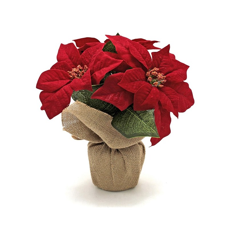 MACETA  POINSETIA  EN  SACO  CON  CUERDA  MARRON