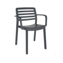 SILLA  CON  BRAZOS  WIND
