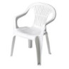 SILLA  MONOBLOC  RESPALDO  BAJO