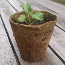MACETA  DE  TURBA  REDONDA