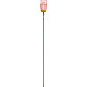 RECOGE FRUTAS EXTENSIBLE