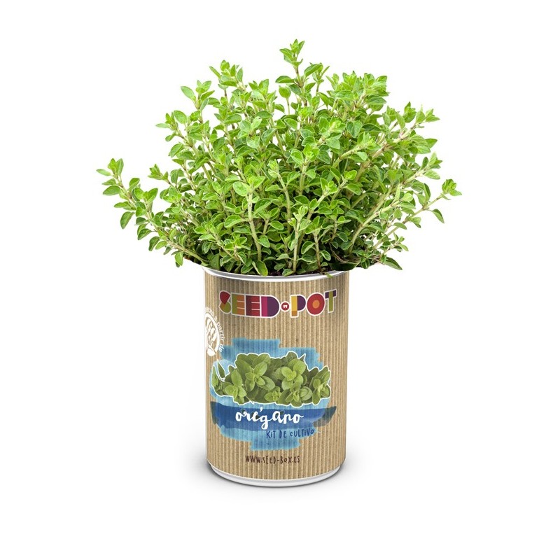 CAJA  DE  CULTIVO  PLANTAS  AROMÁTICAS