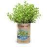 CAJA  DE  CULTIVO  PLANTAS  AROMÁTICAS