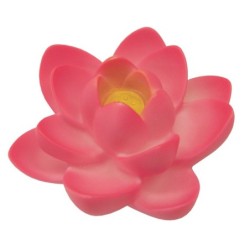 FUENTE  FLOTANTE  FLORA