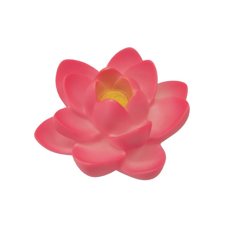 FUENTE  FLOTANTE  FLORA