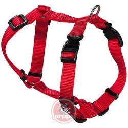 ARNES  PERRO  NYLON  ROJO