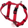 ARNES  PERRO  NYLON  ROJO