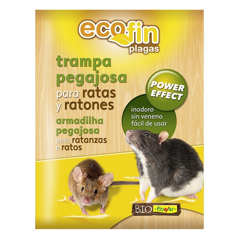 TRAMPA  PEGAJOSA  RATA/RATON