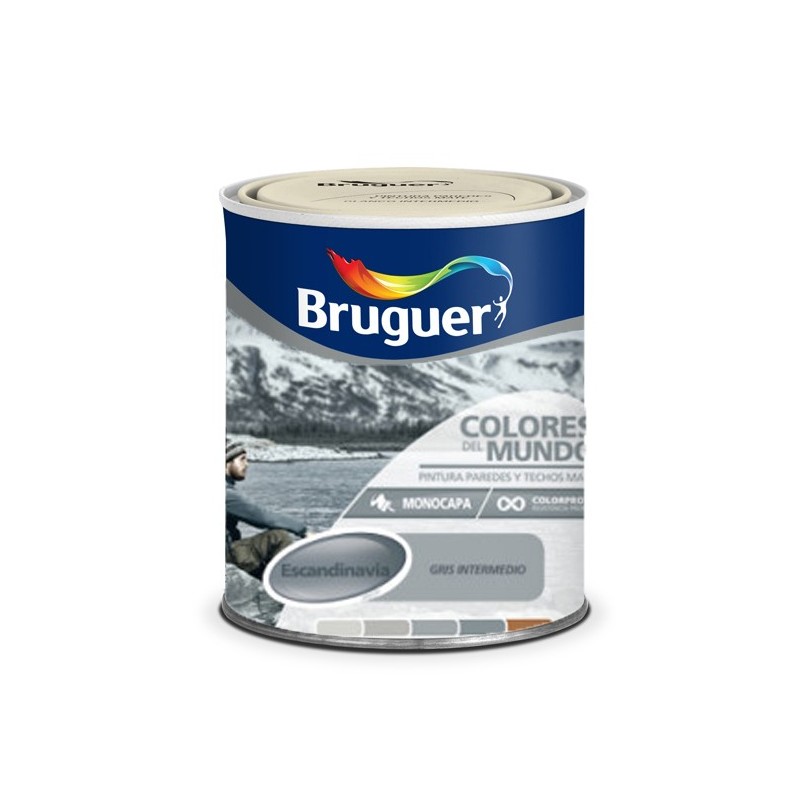 PINT  PLAST  ESCANDI.  MATIZ  GRIS