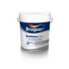 PINTURA  PLASTICA  MATE