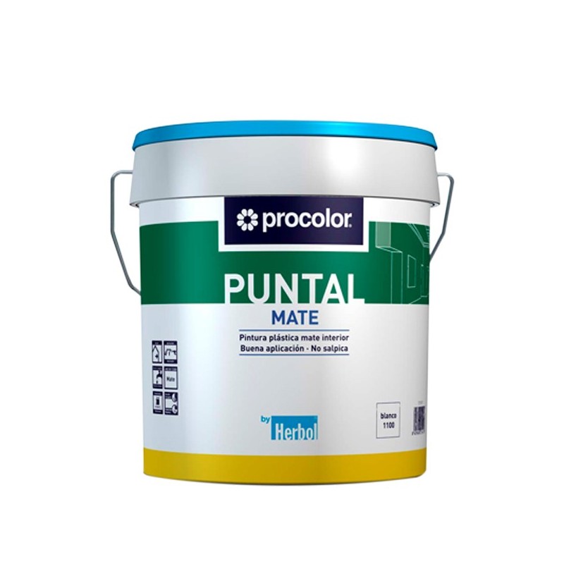 PINTURA  PLÁSTICA  MATE  PUNTAL