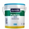 PINTURA  PLÁSTICA  MATE  PUNTAL