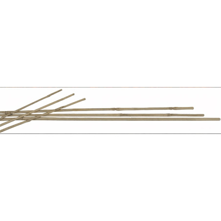 MAZO 5 TUTORES BAMBU 120 CM