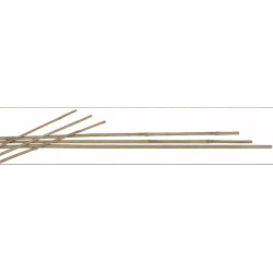 MAZO 3 TUTORES BAMBU 180 CM