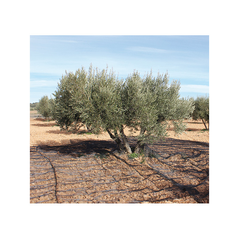 MANTA RECOGER OLIVA/ALMENDRA NEGRO