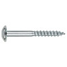 TORNILLO INVIOLABLE ZN C/100
