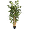 ARBOL BAMBU