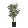 ARBOL BAMBU TRONCO NATURAL