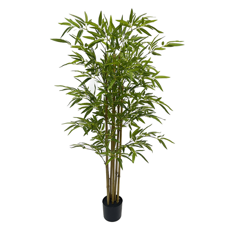 ARBOL BAMBU TRONCO NATURAL
