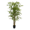 ARBOL BAMBU TRONCO NATURAL