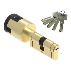 CILINDRO  ?CPLUS  ALARM?  60MM  (30+30)  LATON