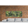 JARDIN VERTICAL BELICE