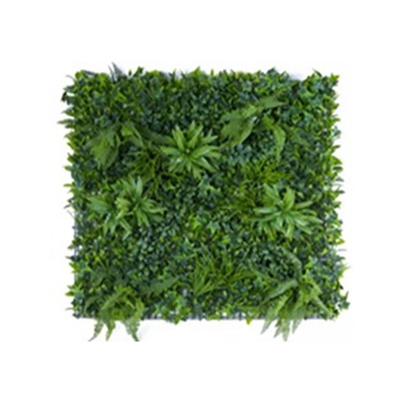 JARDIN VERTICAL AMAZONAS
