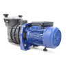 BOMBA BRAVIA CENTRIFUGA AUTOASPIRANTE