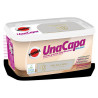 PINTURA PLAST 1 CAPA GRIS ESCORP