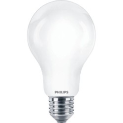 LAMPARA  LED  ESTANDAR  A67  E27  LC  2700K  2000LM  OPACA