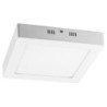 PLAFÓN  LED  DE  SUPERFICIE  FERON