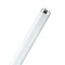 TUBO  FLUORESCE  LUMILUX  PLUS  T8  LF