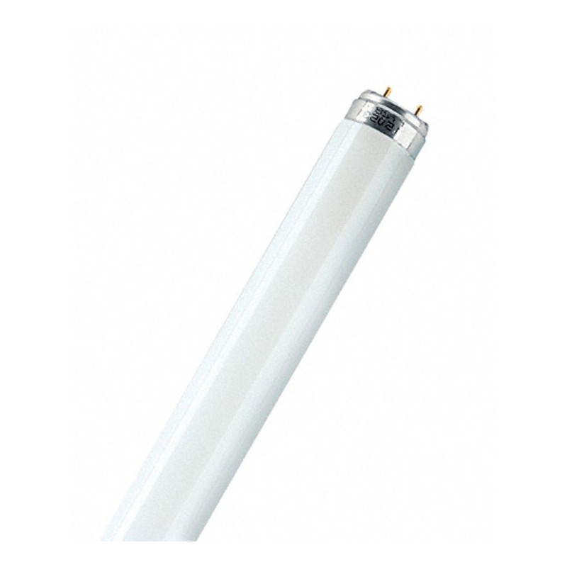 TUBO  FLUORESCE  LUMILUX  PLUS  T8  LF