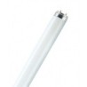 TUBO  FLUORESCE  LUMILUX  PLUS  T8  LF