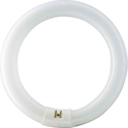 TUBO  FLUORESCE  CIRCULAR  T9
