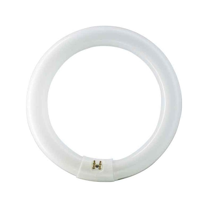 TUBO  FLUORESCE  CIRCULAR  T9